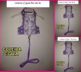 coleiras com guias