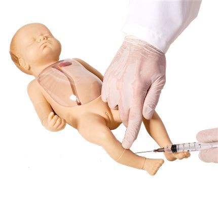 Modelo Avançado Neonatal P/ Punção Venosa Central e Periférica-CS/AT/TGD-4069-D