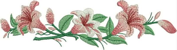 Flor - lírio