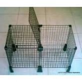 Gaiola Porquinho India