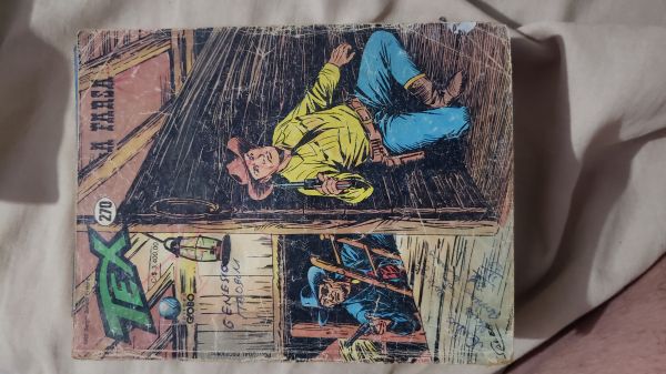 TEX GLOBO MENSAL NR 270
