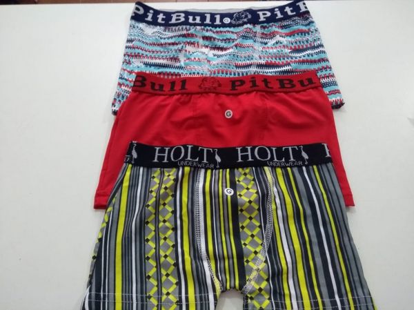 Cueca Box Pit Bull