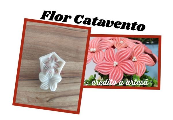 Flor catavento(n-489)