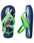 ASCM01- Chinelo com Alça Dino Fossil  XXS (15/16) - Carter's