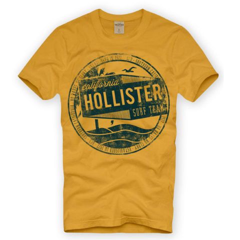 Camiseta Hollister kit 10 pçs