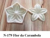 Flor da Carambola(n-179)