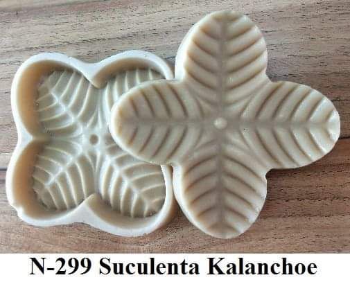 Suculenta Kalanchoe(n-299)