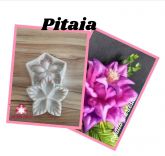 Pitaia (n-487)