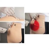 Simulador P/ Treino de Injeção Intramuscular Glúteo c/ Dispositivo de Advertência-CS/AT/TGD-4009-S