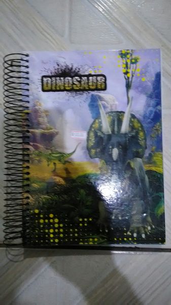 Caderno 15 mat cd dinossaur 300fls máxima