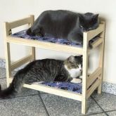 Beliche para gatos