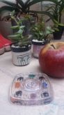 81080 - RF e AQ - Pequenas Porções e frutas