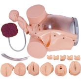 Simulador de Parto c/ Cervix,Episiotomia e Feto com Placenta-CS/AT/TGD-0374-E
