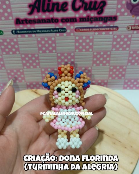 VIDEO AULA DONA FLORINDA