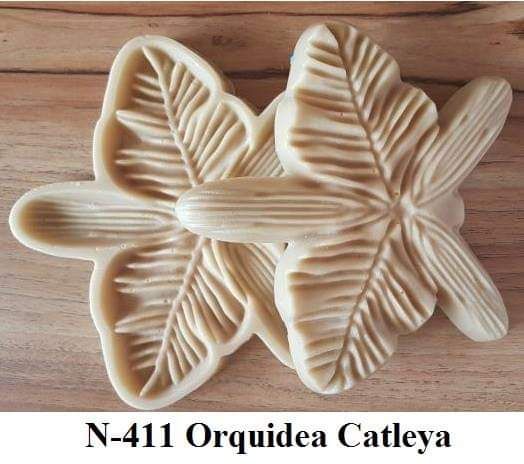 Orquídea Catleya