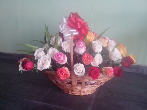cestas de rosas coloridas