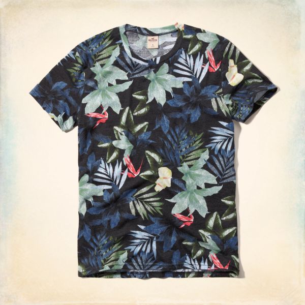 Camisa Hollister Stone Steps (Produto Original)