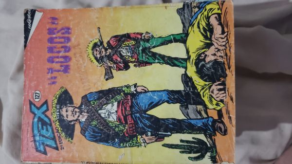 TEX RGE MENSAL NR 127