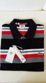 Camisa Lacoste Listrada - Réplica - Lançamento