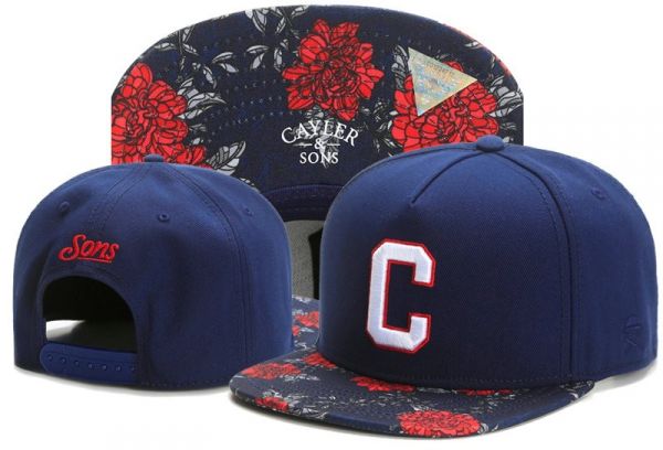 Boné Cayler Sons snapback