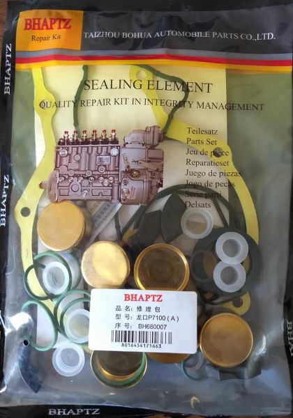 BH680007 REPARO BOMBA BYC  P7000