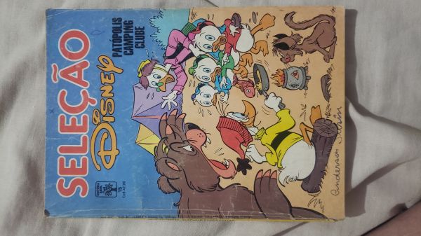 SELEÇÃO DISNEY NR 15