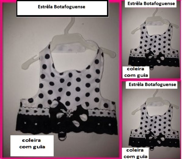 estrêla botafoguense