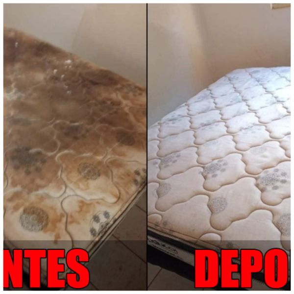 Lavagem de sofá a seco Jardim Paris em Maringá!!