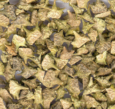Tribulus Terrestris 100g