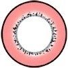 Cicle lens - Princess Pinky Eclipse Pink