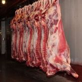 FROZEN WHOLE BEEF CARCASS GRADE A