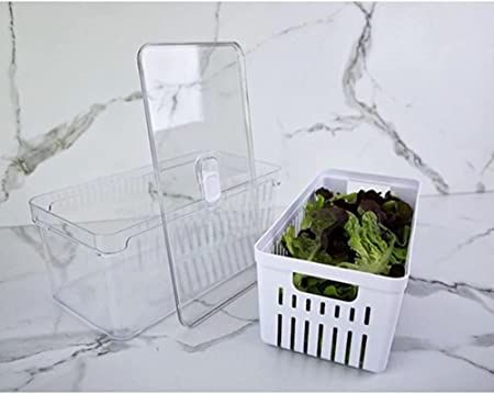 OU OF350NT Organizador de Geladeira com Escorredor Interno, 5 L - Caixa Plástica para Legumes, Salad