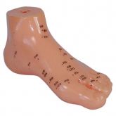 Pé Acupuntura com 13 cm em PVC-CS/COL-1510