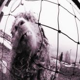Pearl Jam - Vs. CD Nacional!!!