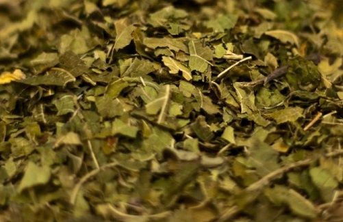 Bardana 100g