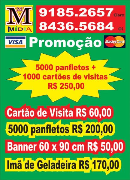 2.500 unidades  Panfleto 4 x 0 tamanho 20 x 14