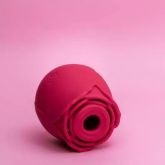 ROSA SUGADORA 10 MODOS DE SUCÇÃO USB