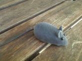 Ratinho de brinquedo para gatos com apito - 1 unidade Cinza