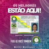 FLAVIA SANTOS PACHECO ALVES RIBEIRO