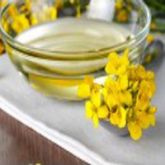 REFINED CANOLA OİL