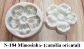 Mimosinha-Camélia Oriental (n-184)