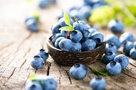BLUEBERRY - 500 gramas