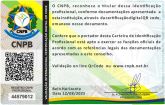 BEATRIZ MIRANDA COUTO NASCIMENTO