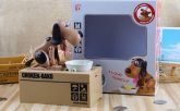 Cofrinho Dog Bank Cãozinho Come Moedas