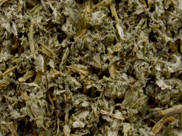 Alcachofra