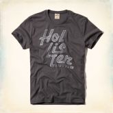 Camiseta Hollister