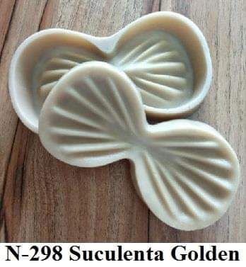 Suculenta Golden (n-298)