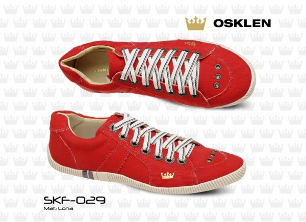 SKF-029