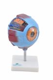 Olho Ampliado em 7 Partes-CS/SD-5043