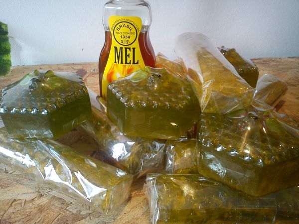 Favos de Mel ( c/ Abelha)